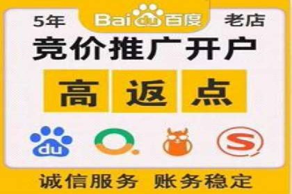 某行业竞价推广的挑战与机遇——多案例研究